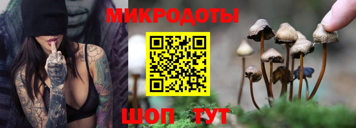 Галлюциногенные грибы ЛСД  Вход с VPN  Псилоцибиновые грибы Magic Shrooms  Вязники 