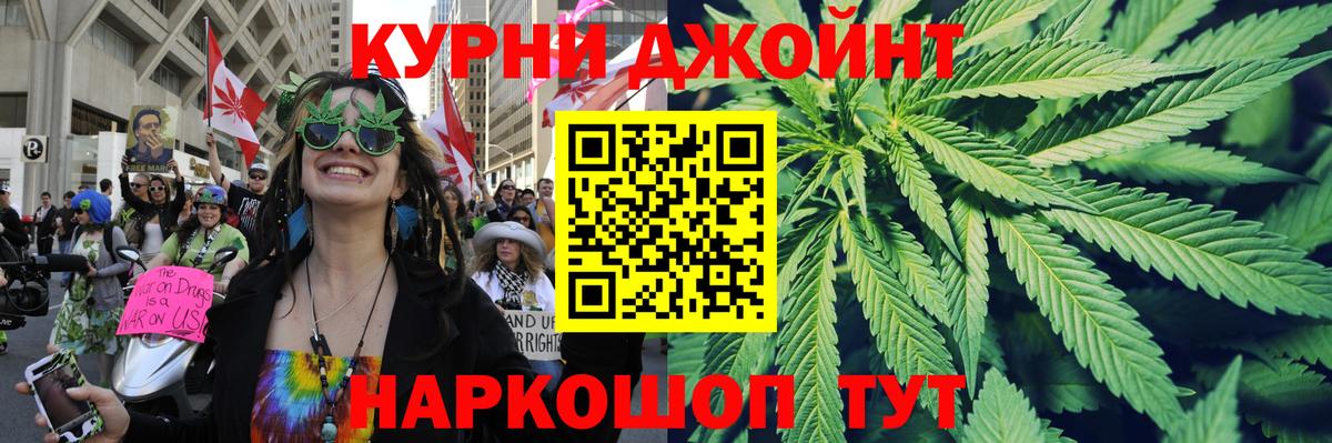 Каннабис план  МАРИХУАНА OG Kush  Вход с VPN  Вязники  Канабис семена 
